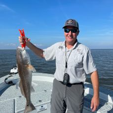 Terry Rodrigue profile photo