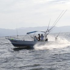 Alejandro Meza profile photo