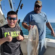 Denise Marie Charters & Fair N' Square Charters profile photo