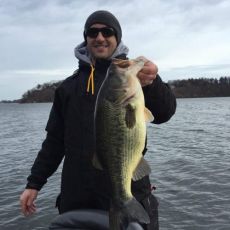 Alex Kolody profile photo