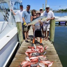 David Spickett profile photo