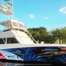 Hound Dawg Charters LLC 