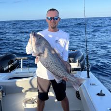 Dave Perry profile photo