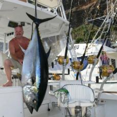 Howard Williams profile photo