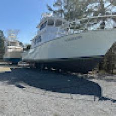 Charter Boat Anastasia Captain Tony Davis profile photo