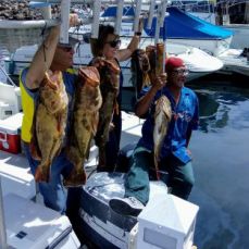 Jefe Cruz profile photo