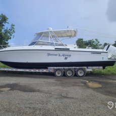 Adam Felvarg profile photo