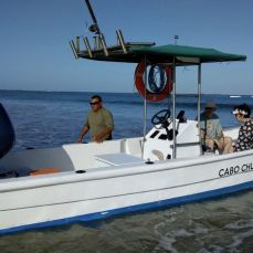 Gerardo Arrieta Villarreal profile photo