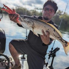 Jose Solis profile photo