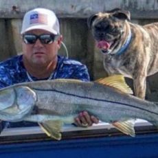 Capt.Trey Giraitis profile photo