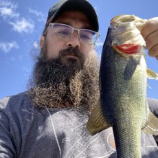 Jonathan Michailiuk profile photo