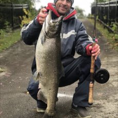 Salmon Express – Fishing Charters Lake Ontario  profile photo