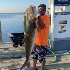 Wayne Webb profile photo