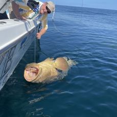 Tannic Water Adventures Inc.