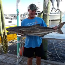 Leonard Dodd profile photo