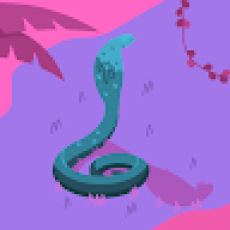 Baja Paceños Tours – 20'