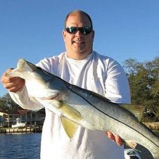 Anthony Corcella profile photo