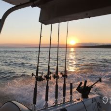 Gary Perovich profile photo