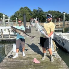 James  Carroll profile photo