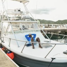 Shockwave Sportfishing Antigua  profile photo