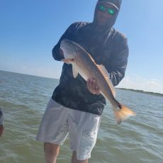 Joe Garza profile photo