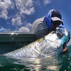 Shane Smetak profile photo