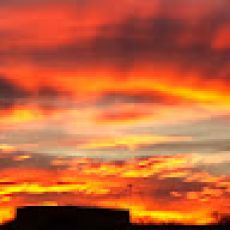 AMI Charter Fishing – Fish Guaranteed!