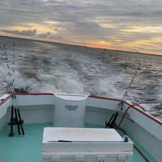 Captain Fisher Charters profile photo