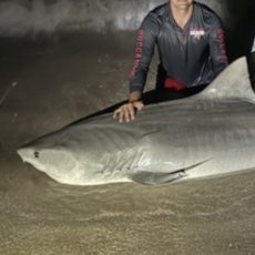 Solomon Weller profile photo