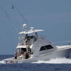 Stephanie Smith profile photo