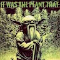 Reel Addiction Fishing Charters II