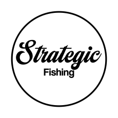 Steve Oropeza profile photo