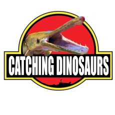 Catching Dinosaurs profile photo