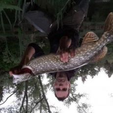 Bass Catch In Santa Clara