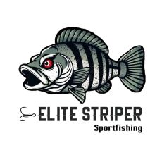 Nick Shirley profile photo