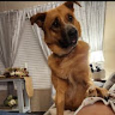 Wicked Fishing Charters