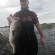 Ethan Ingle profile photo