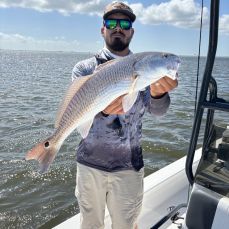 Allen Haggerton profile photo