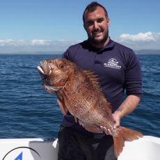 Nicolas Alcantara cabezon profile photo