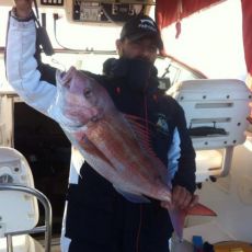 Fotis Valmas profile photo