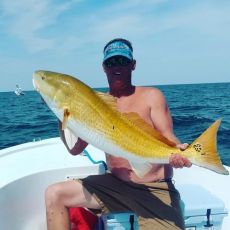 Above C-Level Charters profile photo