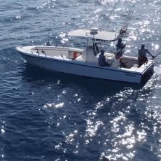 Get Reel Sportfishing profile photo