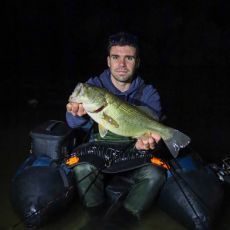 Miguel Coelho profile photo