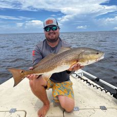 Daniel Wegert profile photo