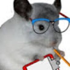 Capitan Mendez Fishing Charters – Cabo Luis