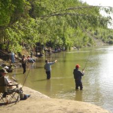 BP Adventures Sport Fishing Lake Ontario