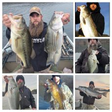 Mark Trimble profile photo