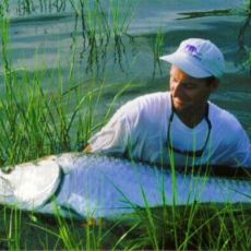 Chris Holleman profile photo