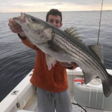 John Ciccariello profile photo