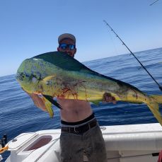 Joshua Maness profile photo